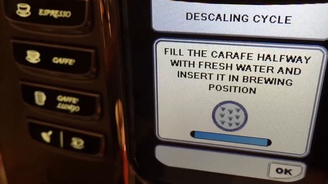 How To Descale a Gaggia Accademia Espresso Machine смотреть онлайн