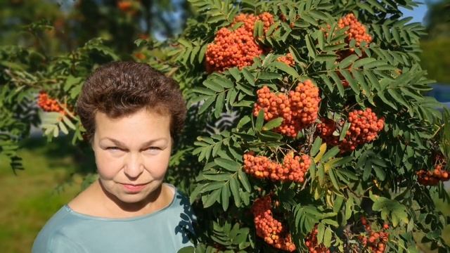 праздник миноги смотреть онлайн
