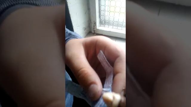 ОБЗОР НА БУМАЖНОГО ЧЕЛОВЕЧКА! Aхтунг! смотреть онлайн