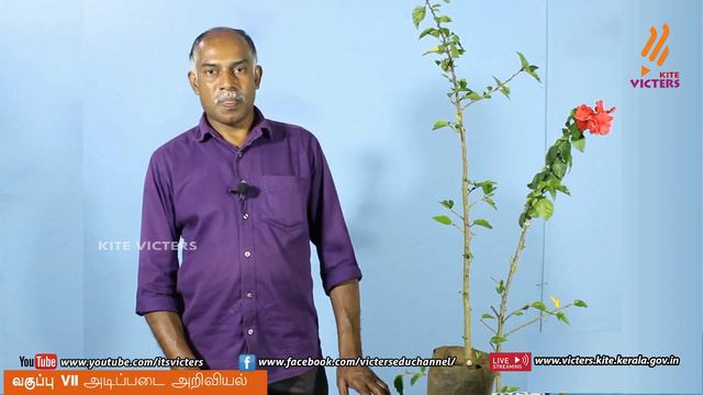 KITE Palakkad STD 7 Basic Science Chapter 1 Episode 4 (First bell Tamil medium - பஸ்ட் பெல்) смотреть онлайн