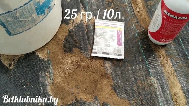 Обзор опрыскивателей. Обработка клубники. Ридомил Голд. Норма внесения. Belklubnika.by смотреть онлайн