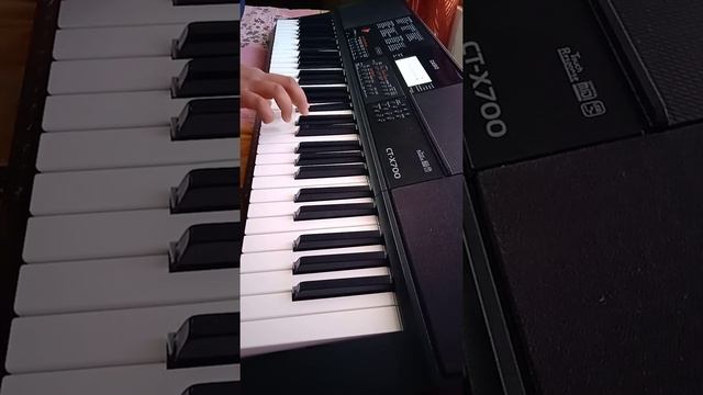 pardesi pardesi (Raja Hindustani 1996) in casio ctx 700 смотреть онлайн