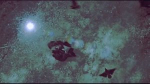 АВЕ ГЕКАТА ТРИВИЯ…ВЕДЬМИНА ИЗБА