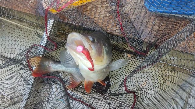 Озеро смотреть онлайн