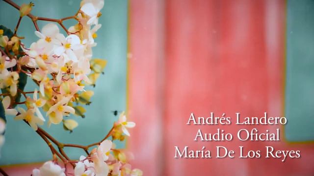 María de Los Reyes - Andrés Landero y Su Conjunto / Discos Fuentes смотреть онлайн
