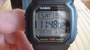 Casio W-800-9AVES Рабочая лошадка