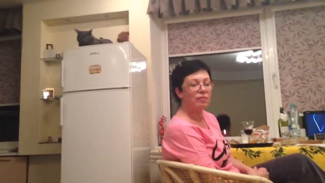 Кузьма поймал мышь))) смотреть онлайн