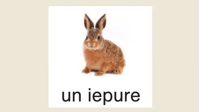 Дистанционное обучение румынский язык 1 класс Молдова «Cum sunt animalele?» смотреть онлайн