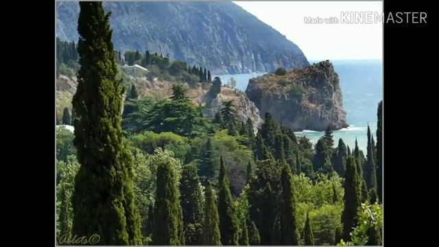 Природа черноморского побережья Кавказа и юного берега крыма смотреть онлайн