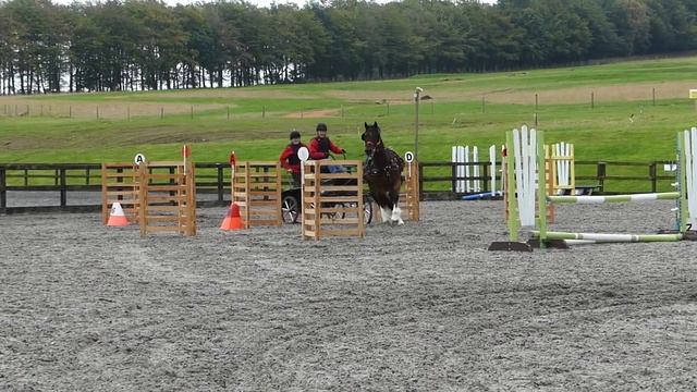 Llwynhywell Man Power carriage driving welsh cob. Nord vue 2nd show, round 2. смотреть онлайн