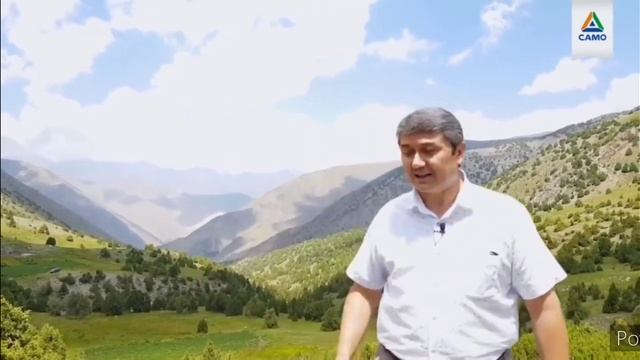 Что такое сила воли. Саидмурод Давлатов. смотреть онлайн