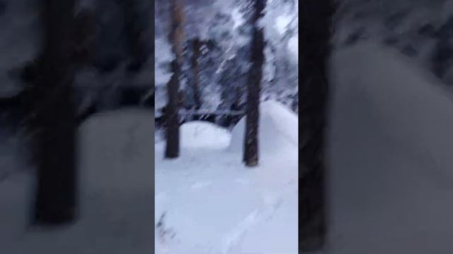 15 января 2020 г.Русский лес. смотреть онлайн