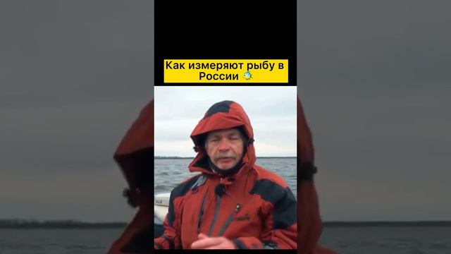 Как измеряют рыбу в России? смотреть онлайн