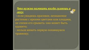 Правила поведения в лесу.  ОБЖ 2 класс.