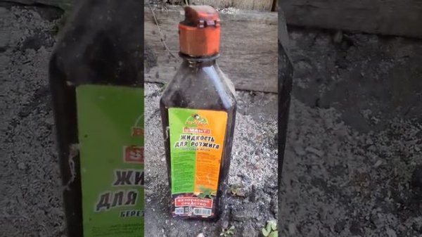 Борьба с садовыми муравьями НАРОДНЫЙ СПОСОБ