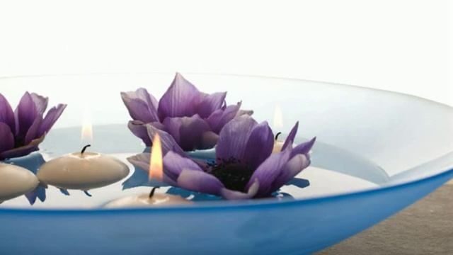 фен шуй цвет кошелька смотреть онлайн