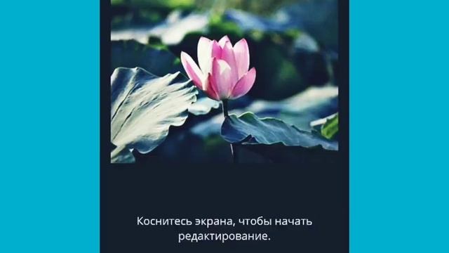 Как сделать свою картинку в приложении Canva. смотреть онлайн