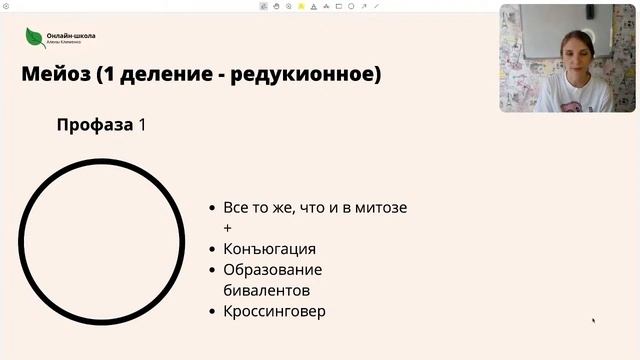 Митоз и Мейоз