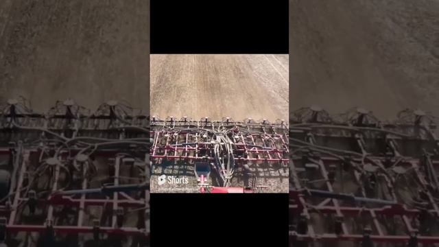 В вашем хозяйстве есть посевной комплекс от Ростсельмаш? #трактор #сельскоехозяйство смотреть онлайн