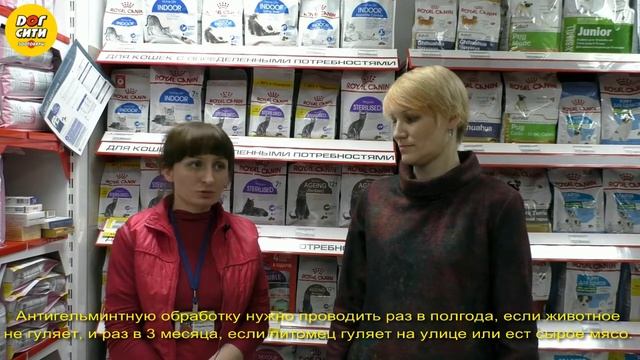 Антигельминтики для собак и кошек смотреть онлайн