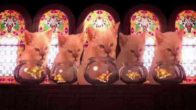 POLITIC ELFI DANCE смотреть онлайн