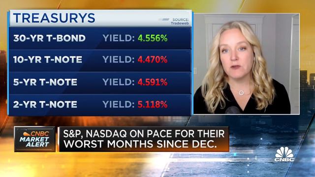People are underestimating the impact of higher rates, says AlphaSimplex's Kathryn Kaminski смотреть онлайн
