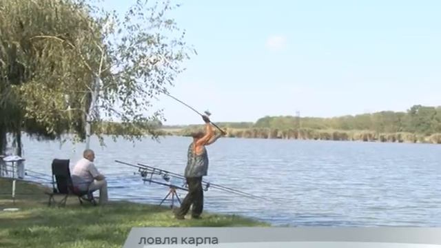 18.09.2017 - Ловля карпа смотреть онлайн