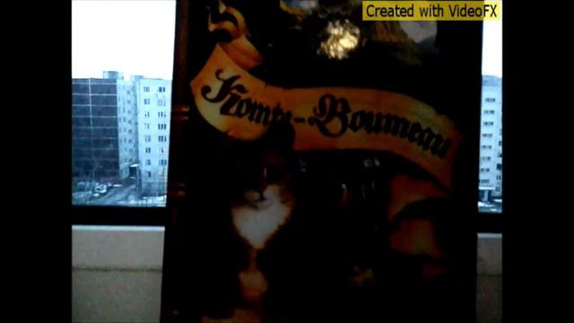 Обзор на книгу КВ. Коты - Воители " Решение". смотреть онлайн