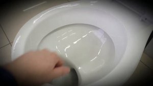 УНИТАЗ ДЛЯ КОШЕК, обзор унитаза Виктория, г.Воротынск