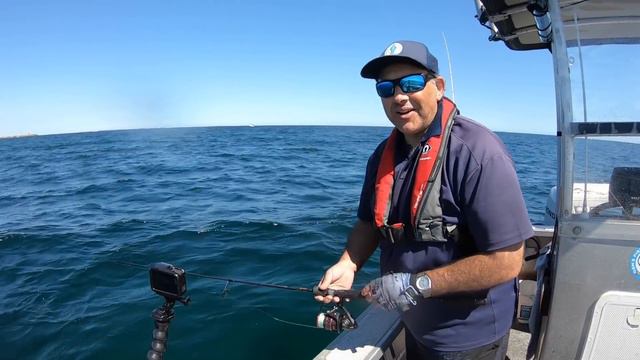 SQUID FISHING IS MY SALVATION | SQUID RIBS! | my Boat has a Name! Catch Clean n Cook смотреть онлайн