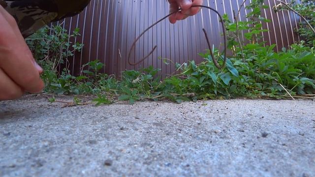 как вырастить опарыша опарыш для рыбалки опарыш для рыбалки опарыш в домашних условиях для рыбалки смотреть онлайн