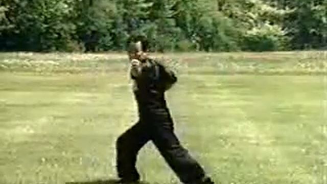 Хунгар 十形拳 (десять форм кулака. Хунцзя цюань. Южный кулак) ред. игорь февраль смотреть онлайн