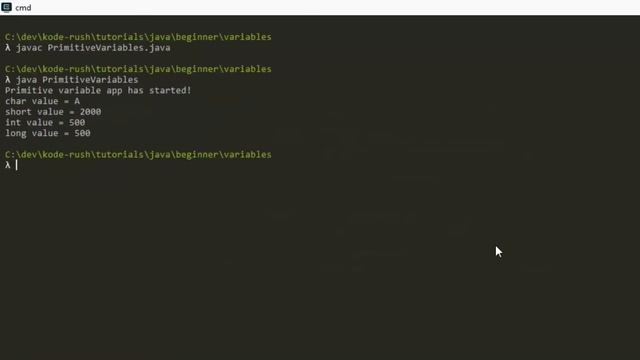 Java Fundamentals - Primitive Variables смотреть онлайн