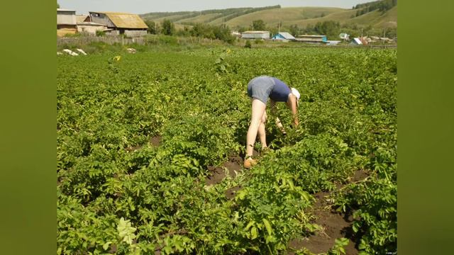 С чего начнется возрождение деревни. И было, и есть, и будет...#добраяистория #жизньвдеревне смотреть онлайн