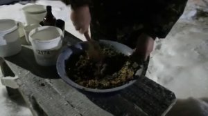 Зимняя мешанка для кур несушек , залог отличной яйценоскости у птицы.