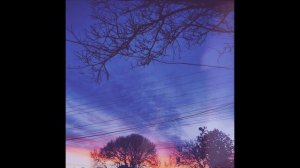 Sunbyonic - Artificial people