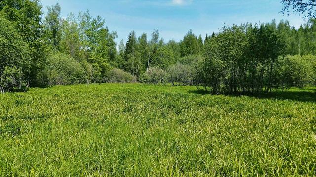 Красивые кадры саксофон музыка релакс смотреть онлайн