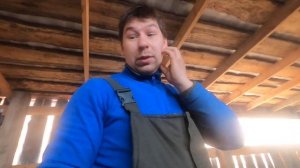 ЗИМНИЙ РАЦИОН, чем кормить овец???