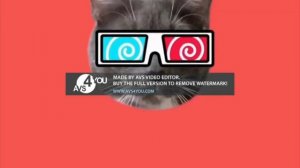 Анонс Карусель "Котинет" 09.10.2017