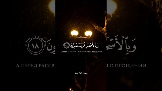Сура аз-Зарийат #аллах #коран #сура #ислам #хадис #quran #аят #вера #дуа #пророк смотреть онлайн