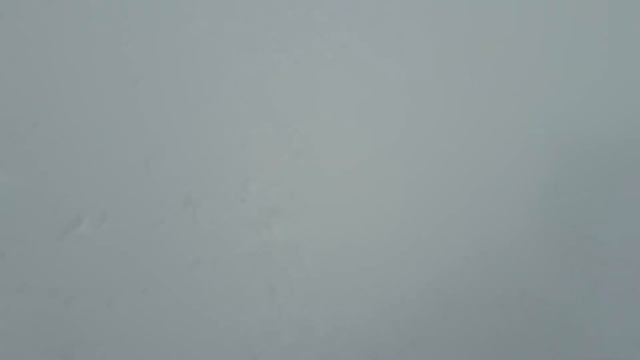 21 марта 2018 г.подкормка пеницы по снегу смотреть онлайн