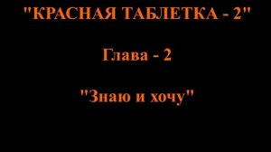 Красная Таблетка 2. Вся правда об успехе. Аудиоверсия книги А. Курпатова.