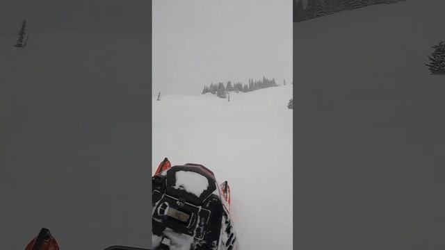 Day 23 was deep! Turbos save lives! #lynx #shredder #re #turbo #snowmobile #850 #snowmobilefail смотреть онлайн