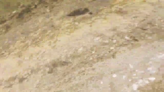 Долгожданная встреча с Каюром смотреть онлайн