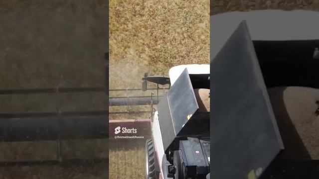Комбайны RSM 161 прекрасны в работе, согласны? ❤️ #комбайны #ростсельмаш #сельскоехозяйство смотреть онлайн