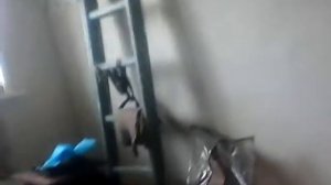 Вызов гастера он пришол