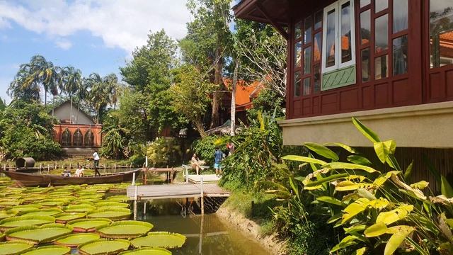 Лилии и кувшинки на озере Пхукета | кафе Ma Doo Bua смотреть онлайн