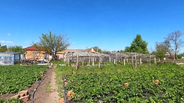 Дом Супер ?Участок 50 соток!!! Усть-Лабинский район Краснодарский край/ Цена 2 млн. ₽ смотреть онлайн