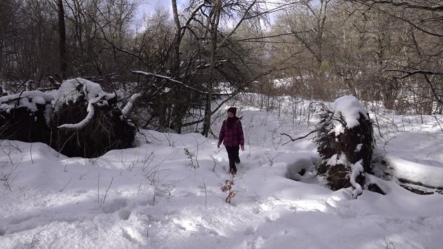 11.02.2022 Назад к снежинкам.mp4