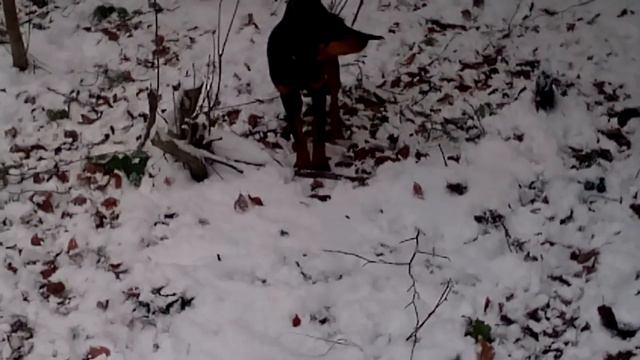 Укг на полюванні смотреть онлайн